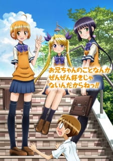 Oniichan no Koto nanka Zenzen Suki ja Nai n da kara ne!! Episodio 11 online