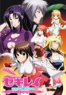 Sekirei: Pure Engagement Episodio 1 online